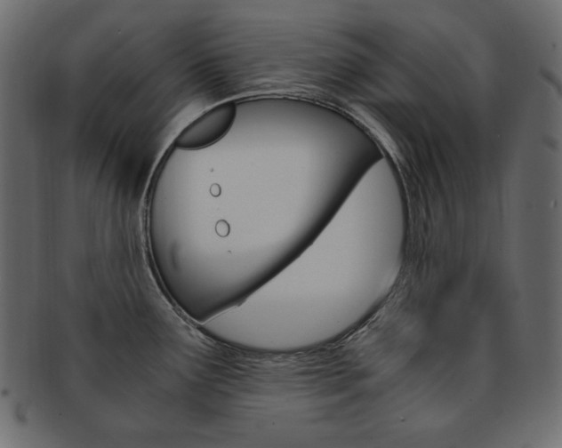 X0000093161291200709261028
