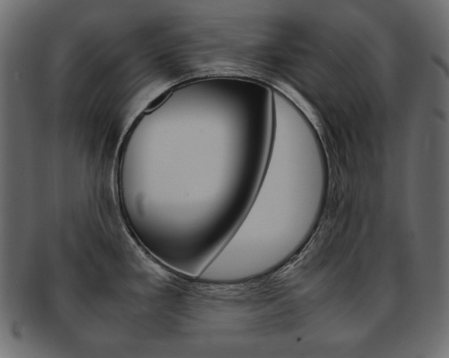 X0000093161293200709261028