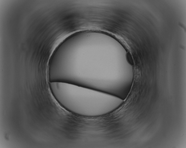 X0000093161295200709261028
