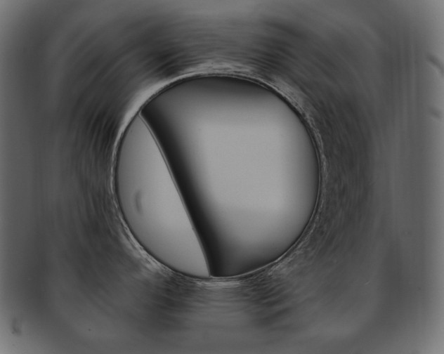 X0000093161296200709261028