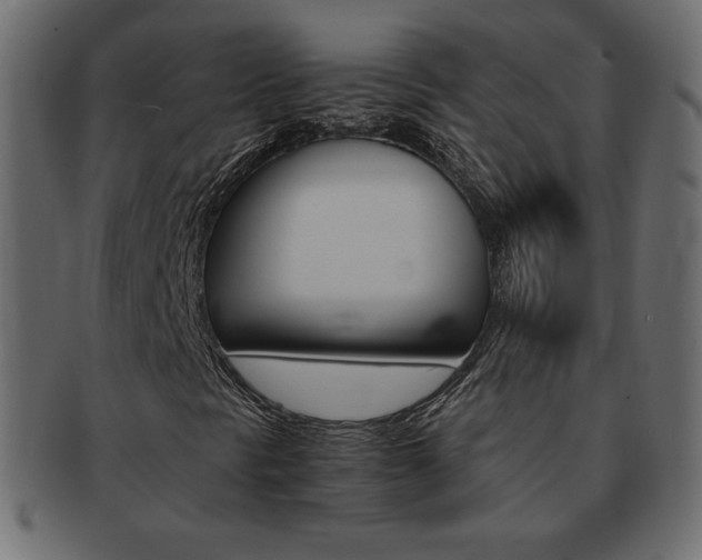 X0000093161297200709261028