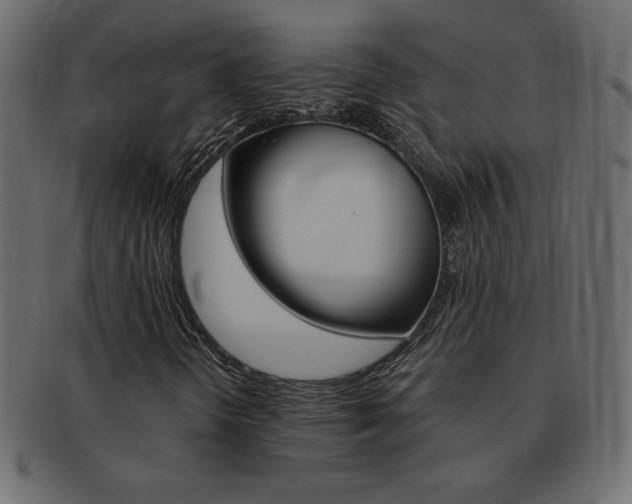 X0000093161298200709261028
