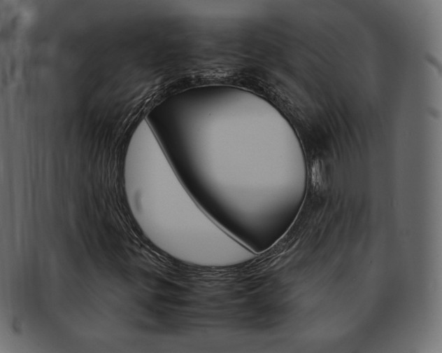 X0000093161299200709261028