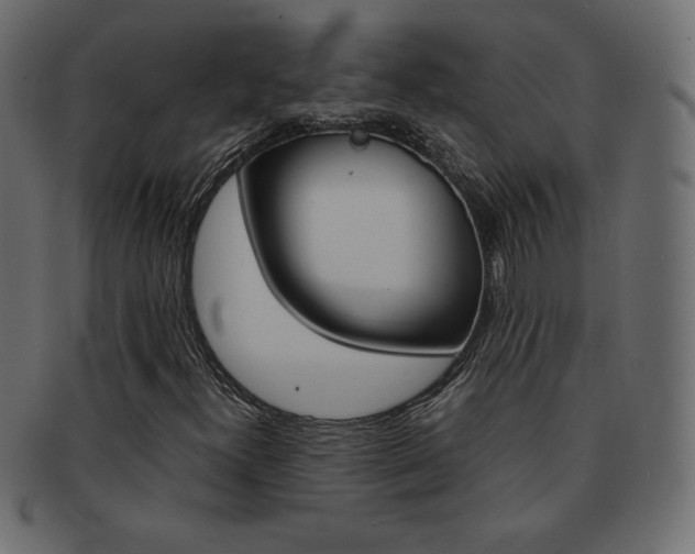 X0000093161300200709261028