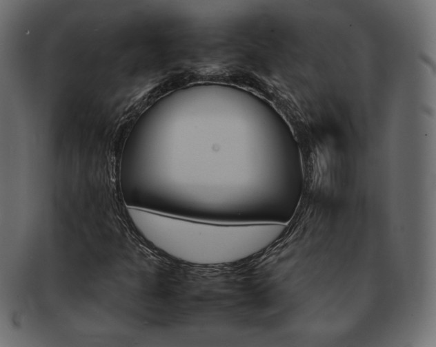 X0000093161301200709261028