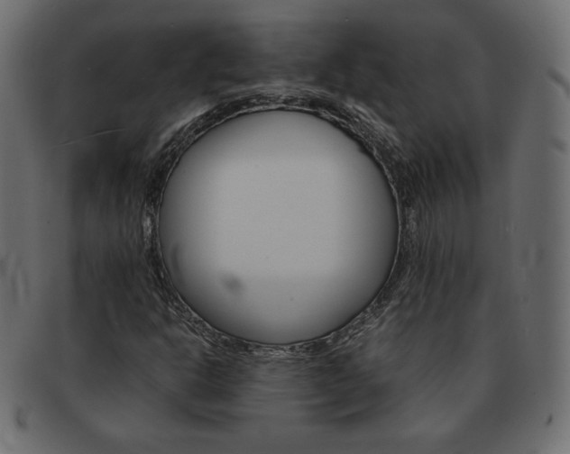 X0000093161302200709261028