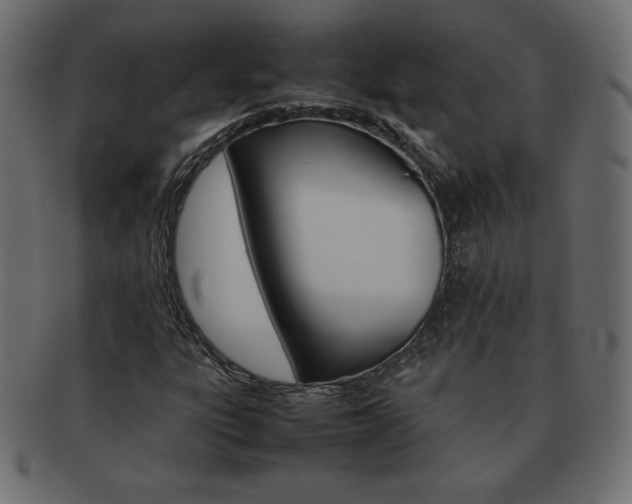 X0000093161303200709261028