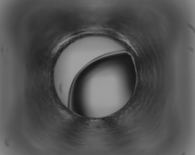 X0000093161304200709261028