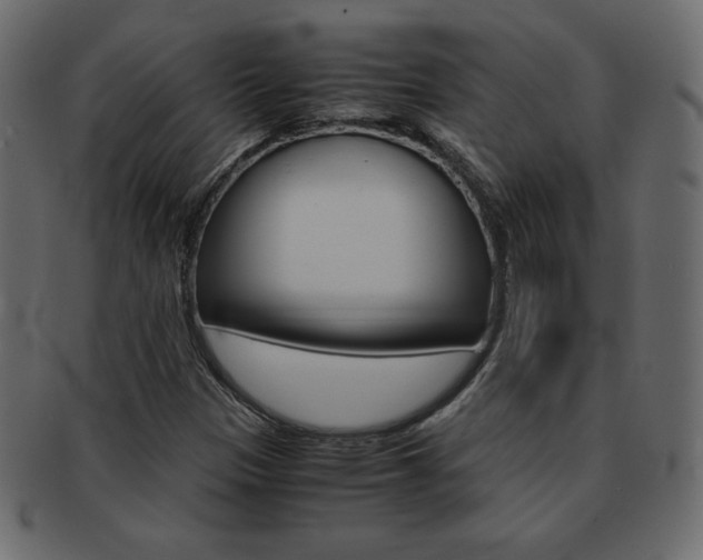 X0000093161305200709261028