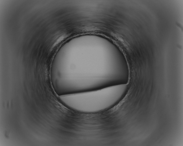 X0000093161306200709261028