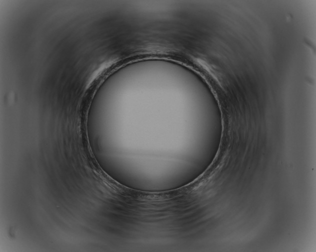 X0000093161307200709261028