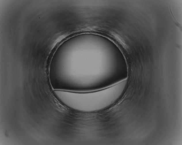 X0000093161308200709261028
