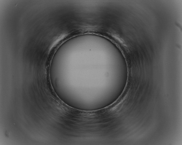 X0000093161309200709261028