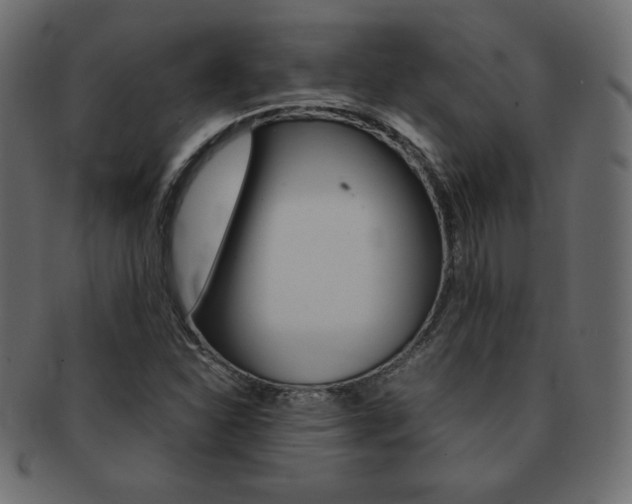X0000093161310200709261028