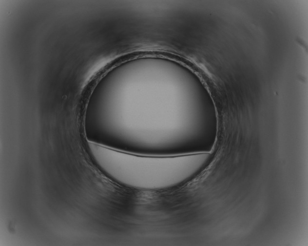 X0000093161311200709261028