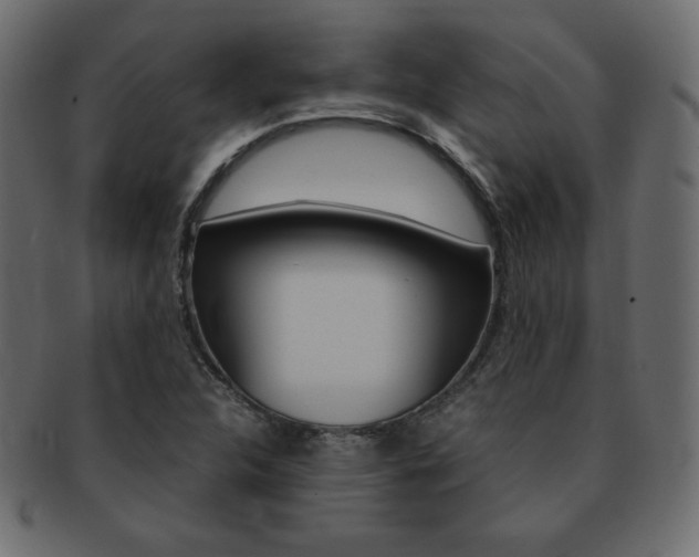 X0000093161312200709261028