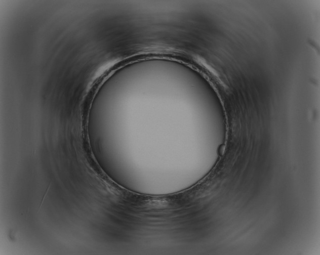 X0000093161315200709261028