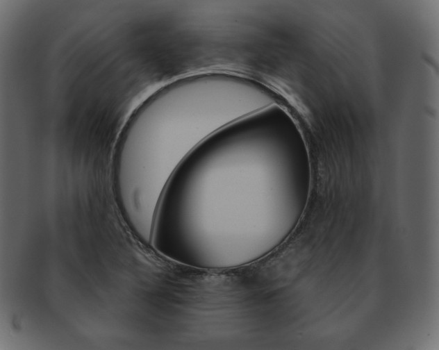 X0000093161316200709261028