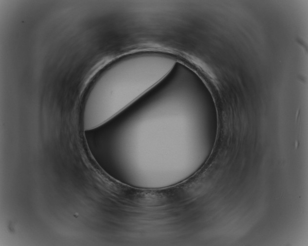 X0000093161318200709261028