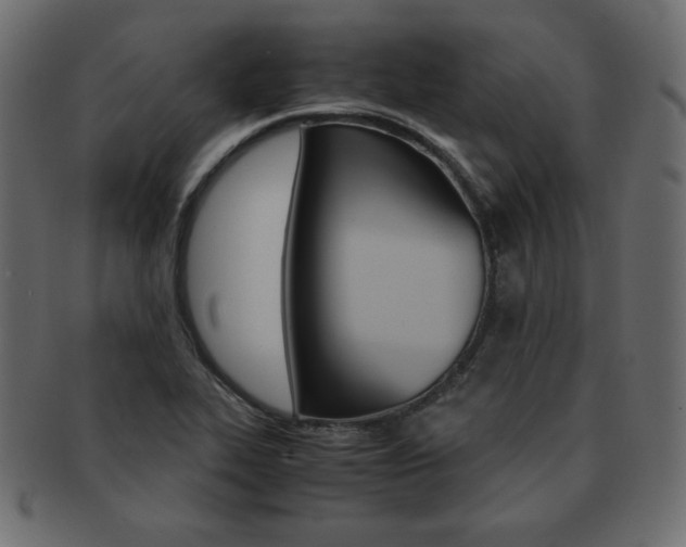 X0000093161319200709261028