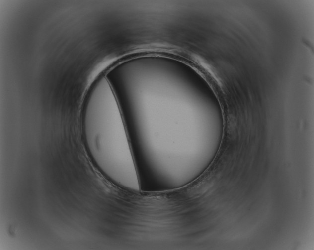 X0000093161320200709261028