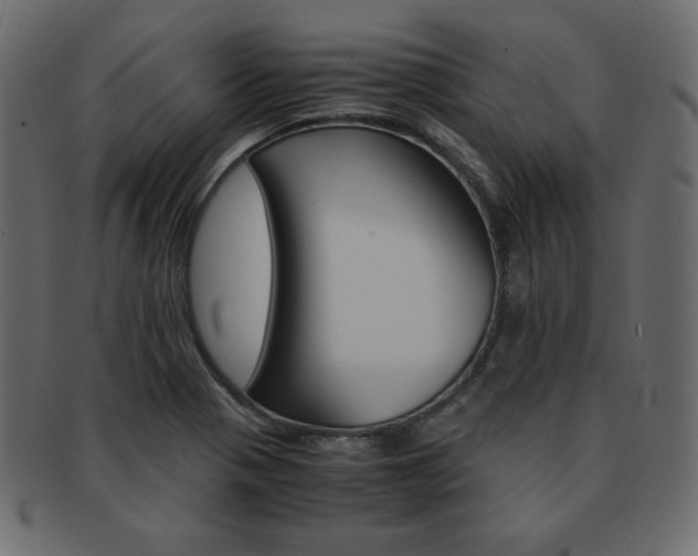 X0000093161321200709261028