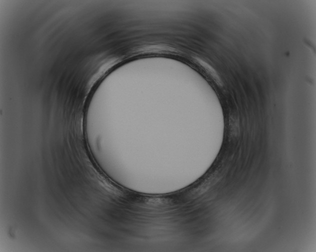 X0000093161322200709261028
