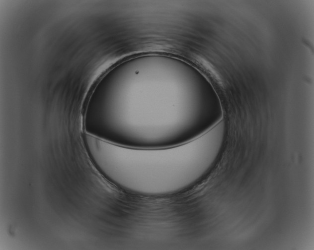 X0000093161324200709261028