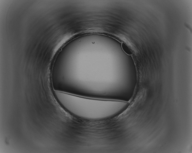 X0000093161325200709261028