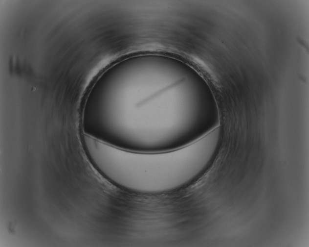 X0000093161326200709261028