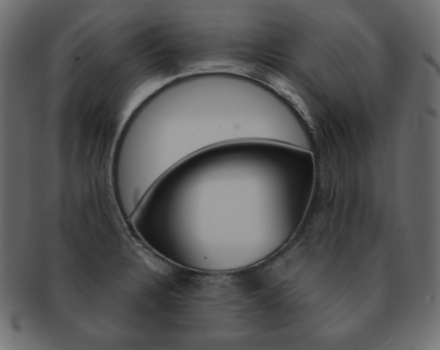 X0000093161328200709261028