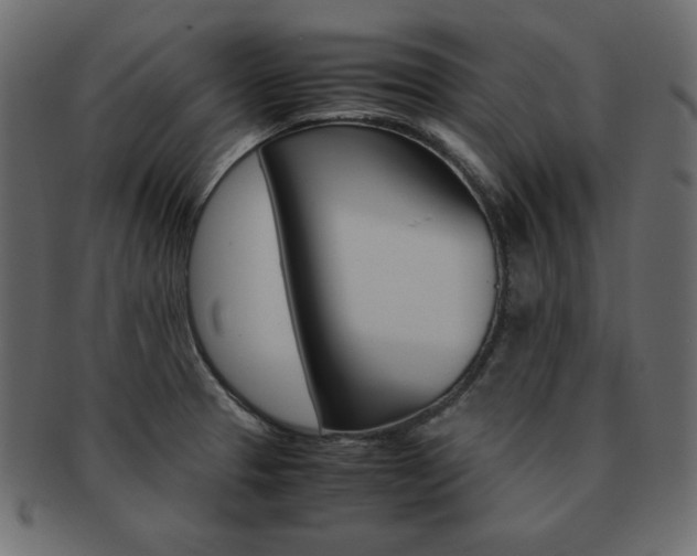 X0000093161329200709261028