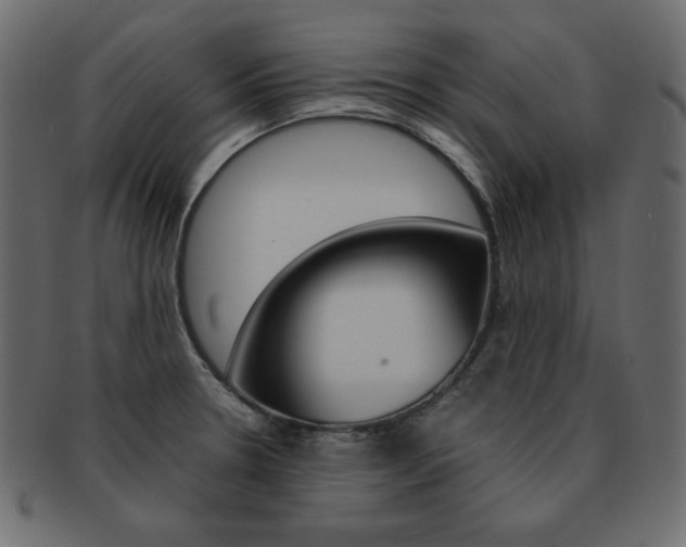X0000093161330200709261028
