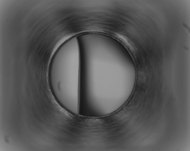 X0000093161331200709261028