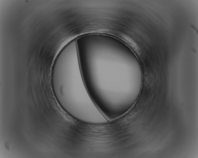 X0000093161332200709261028