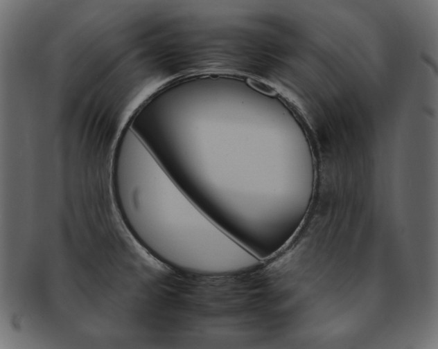 X0000093161333200709261028