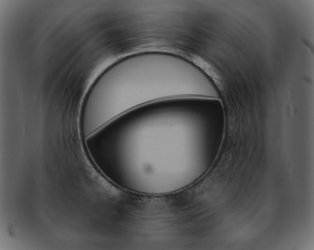 X0000093161334200709261028