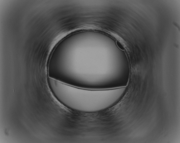 X0000093161335200709261028