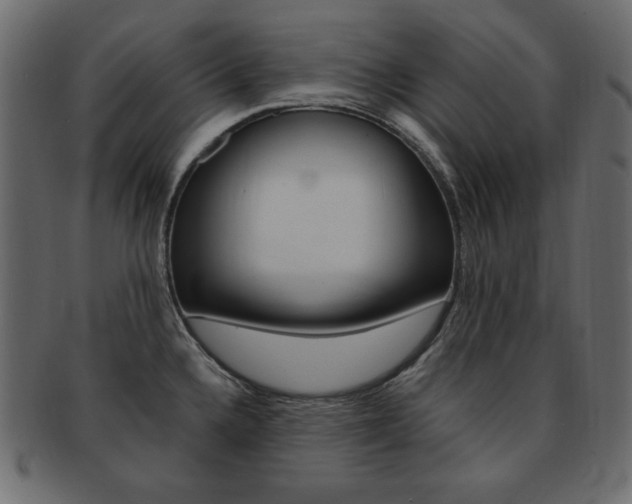X0000093161336200709261028