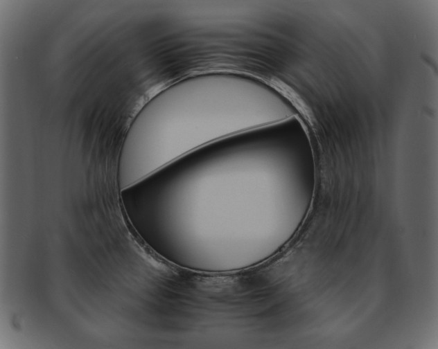 X0000093161337200709261028