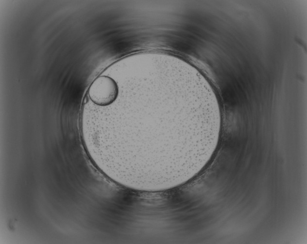 X0000093161338200709261028