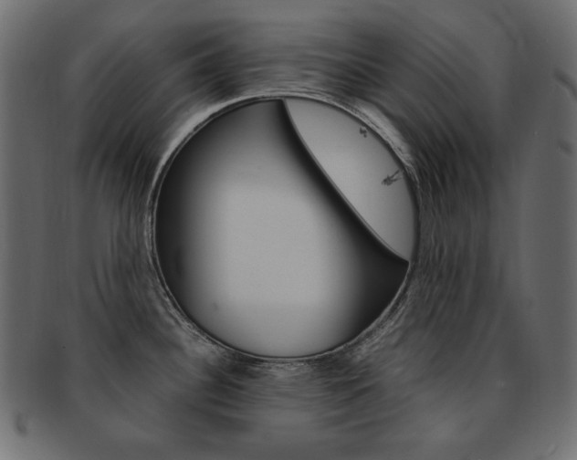 X0000093161340200709261028