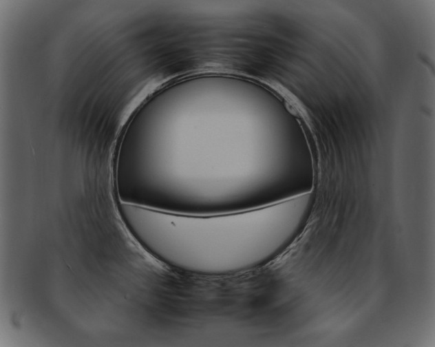 X0000093161341200709261028