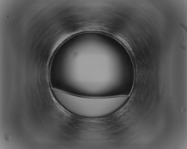 X0000093161342200709261028