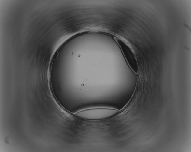 X0000093161343200709261028