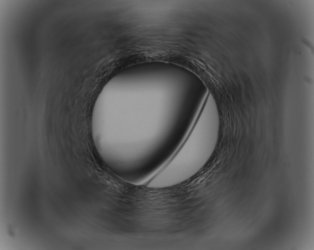 X0000093161345200709261028