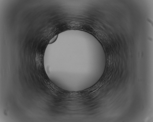 X0000093161346200709261028