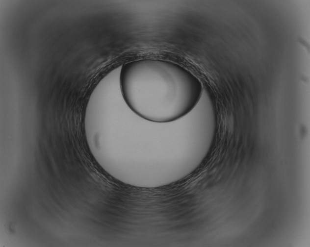 X0000093161348200709261028