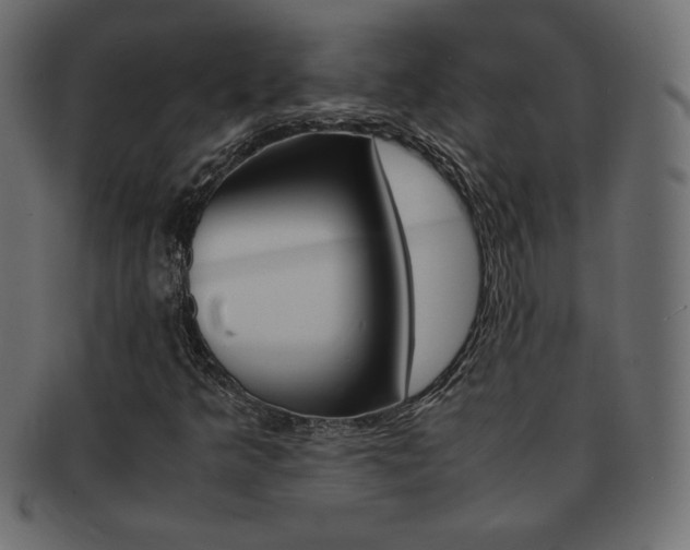X0000093161349200709261028