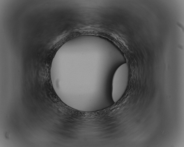 X0000093161350200709261028